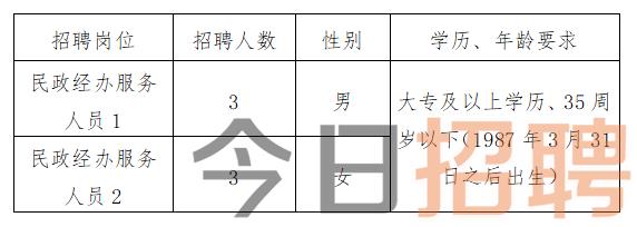 吉安市市信访局最新招聘公告解析