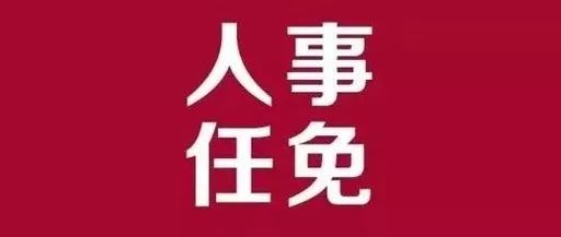 斗门区审计局人事任命揭晓，开启审计事业新篇章