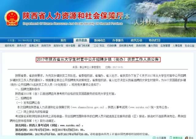 查通村最新招聘信息全面解析