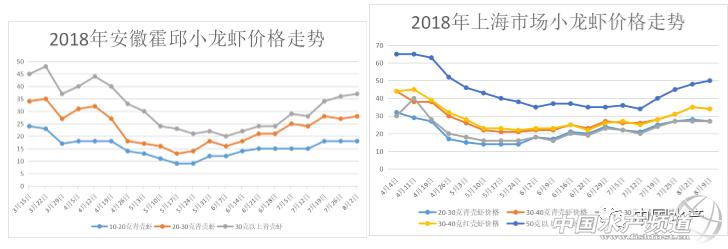 2025年2月21日 第7页